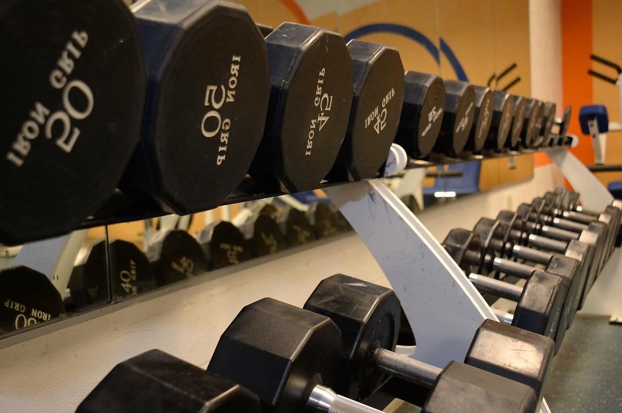 A variety of dumbbells on shelves